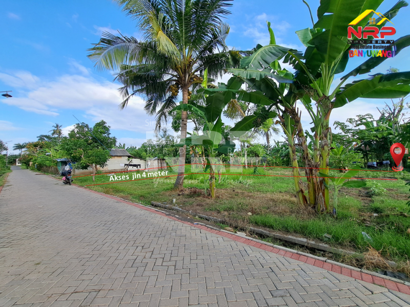 Dijual Tanah di Kawasan Perumahan Sobo - Banyuwangi.  Dijual tanah murah di Banyuwangi Kota  Dijual Tanah di Kawasan Perumahan Sobo - Banyuwangi.&nbsp;
Tanah murah harga 100 Jutaan di tengah kota.&nbsp;

Luas Tanah : 150 NRP BANYUWANGI