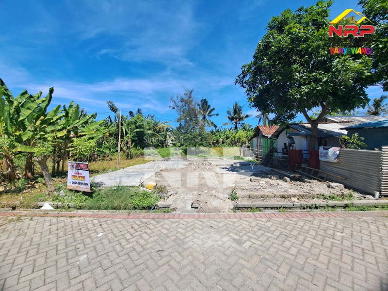 Dijual Tanah di Kawasan Perumahan Sobo - Banyuwangi.  Dijual Tanah di Kawasan Perumahan Sobo - Banyuwangi.  Dijual Tanah di Kawasan Perumahan Sobo - Banyuwangi.&nbsp;
Tanah murah akses sudah jalan paving roda 4

Luas Tanah : 165 NRP BANYUWANGI