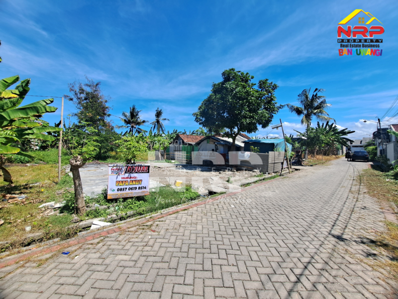 Dijual Tanah di Kawasan Perumahan Sobo - Banyuwangi.  Dijual Tanah di Kawasan Perumahan Sobo - Banyuwangi.  Dijual Tanah di Kawasan Perumahan Sobo - Banyuwangi.&nbsp;
Tanah murah akses sudah jalan paving roda 4

Luas Tanah : 165 NRP BANYUWANGI