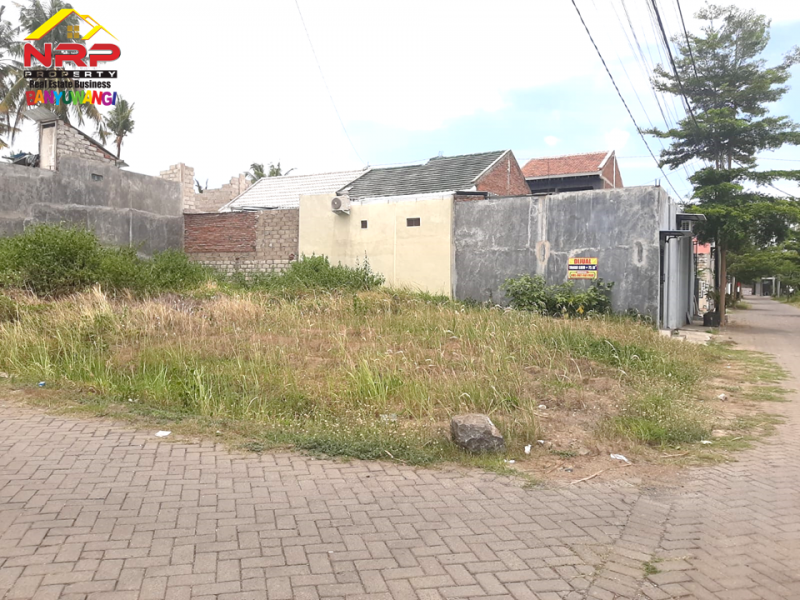 Dijual Tanah di Kawasan Perumahan Borobudur Residance  Dijual Tanah di Kawasan Perumahan Strategis Pusat Kota Banyuwangi Dijual Tanah di Kawasan Perumahan Strategis Pusat Kota Banyuwangi
Terletak di Jl. Terusan Borobudur Tamanbaru
Sangat Cocok untuk Hunian, Rumah Kos, atau NRP BANYUWANGI
