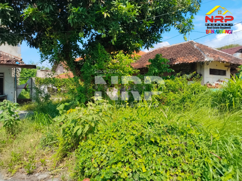 Dijual Tanah di Tengah Kota Banyuwangi, Karangrejo  Jual tanah di karangrejo banyuwangi  Dijual Tanah di Tengah Kota Banyuwangi, Karangrejo&nbsp;
Dekat sentra kuliner Naga bulan. Dekat dengan pasar karangrejo.&nbsp;

Luas Tanah : +/- 470 NRP BANYUWANGI