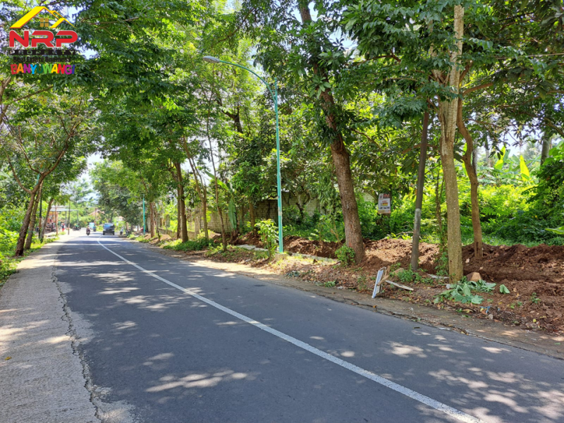 Dijual Tanah di tepi Jln. Raya Ijen - Glagah , Banyuwangi Dijual Tanah di tepi Jln. Raya Ijen - Glagah , Banyuwangi Dijual Tanah di tepi Jln. Raya Ijen - Glagah , Banyuwangi
Lokasi sangat strategis cocok untuk homestay, villa, resto, cluster dll&nbsp;

Luas Tanah : 4.890 NRP BANYUWANGI