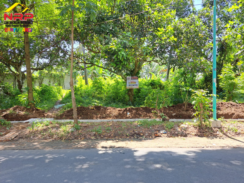 Dijual Tanah di tepi Jln. Raya Ijen - Glagah , Banyuwangi Dijual Tanah di tepi Jln. Raya Ijen - Glagah , Banyuwangi Dijual Tanah di tepi Jln. Raya Ijen - Glagah , Banyuwangi
Lokasi sangat strategis cocok untuk homestay, villa, resto, cluster dll&nbsp;

Luas Tanah : 4.890 NRP BANYUWANGI