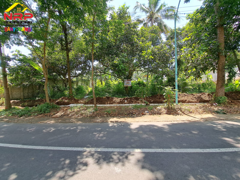 Dijual Tanah di tepi Jln. Raya Ijen - Glagah , Banyuwangi Dijual Tanah di tepi Jln. Raya Ijen - Glagah , Banyuwangi Dijual Tanah di tepi Jln. Raya Ijen - Glagah , Banyuwangi
Lokasi sangat strategis cocok untuk homestay, villa, resto, cluster dll&nbsp;

Luas Tanah : 4.890 NRP BANYUWANGI