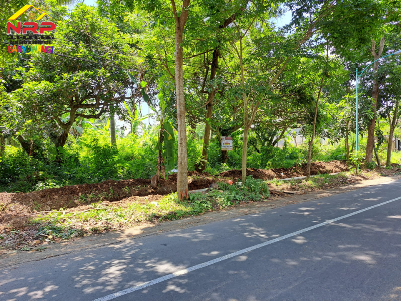 Dijual Tanah di tepi Jln. Raya Ijen - Glagah , Banyuwangi Dijual Tanah di tepi Jln. Raya Ijen - Glagah , Banyuwangi Dijual Tanah di tepi Jln. Raya Ijen - Glagah , Banyuwangi
Lokasi sangat strategis cocok untuk homestay, villa, resto, cluster dll&nbsp;

Luas Tanah : 4.890 NRP BANYUWANGI