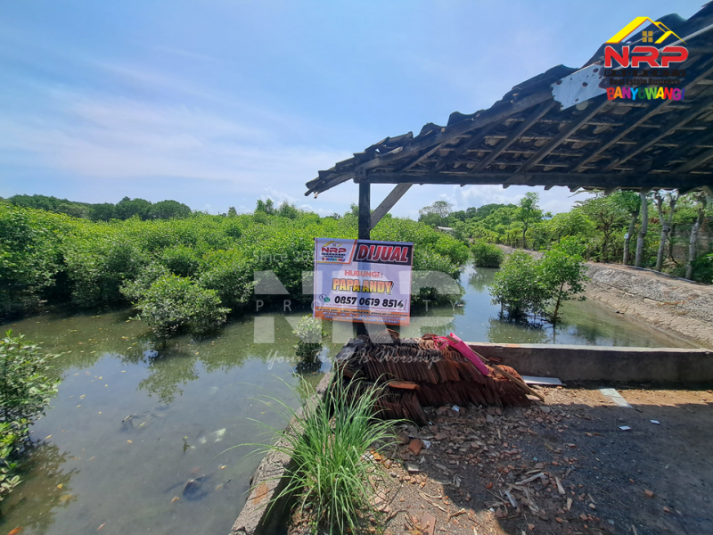 Dijual Tanah Ex Tambak di Karangrejo - Banyuwangi  Dijual Tanah Ex Tambak di Karangrejo - Banyuwangi  Dijual Tanah Ex Tambak di Karangrejo - Banyuwangi&nbsp;
Cocok untuk usaha budidaya ikan, udang dan dll

Luas Tanah : 2.909 NRP BANYUWANGI