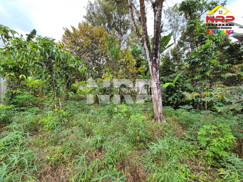 Dijual Tanah Hook dekat kawasan wisata  di Tamansari, Licin Dijual Tanah Hook dekat kawasan wisata  di Tamansari, Licin Dijual Tanah Hook di Tamansari, Licin
Nikmati suasana sejuk khas pegunungan Banyuwangi.
Posisi hook dengan dua akses jalan, pas untuk bangun villa atau rumah NRP BANYUWANGI