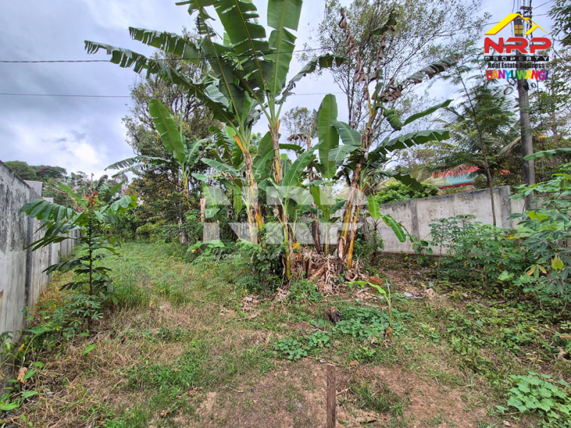 Dijual Tanah Hook dekat kawasan wisata  di Tamansari, Licin Dijual Tanah Hook dekat kawasan wisata  di Tamansari, Licin Dijual Tanah Hook di Tamansari, Licin
Nikmati suasana sejuk khas pegunungan Banyuwangi.
Posisi hook dengan dua akses jalan, pas untuk bangun villa atau rumah NRP BANYUWANGI