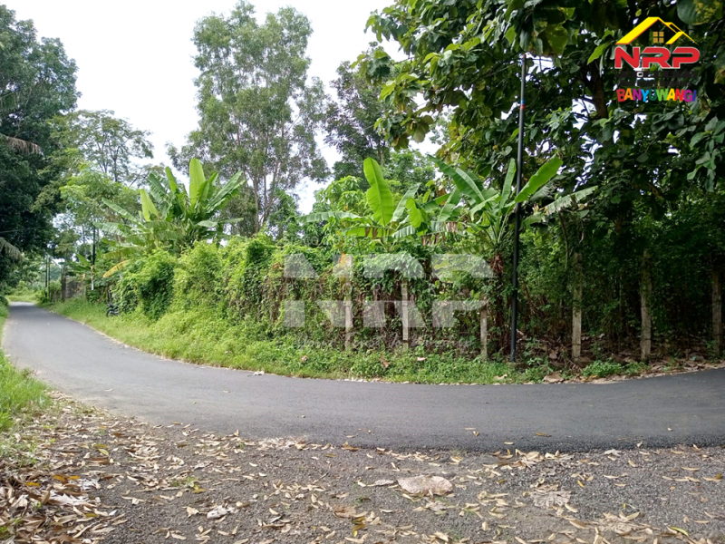 Dijual Tanah Hook di Dekat Kantor Satpas Polresta Banyuwangi  Dijual Tanah Hook di Dekat Kantor Satpas Polresta Banyuwangi  Dijual Tanah Hook di Dekat Kantor Satpas Polresta Banyuwangi&nbsp;
Tanah siap bangun sangat strategis dikawasan yang sedang berkembang. Cocok untuk investasi NRP BANYUWANGI