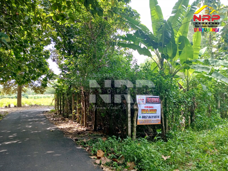 Dijual Tanah Hook di Dekat Kantor Satpas Polresta Banyuwangi  Dijual Tanah Hook di Dekat Kantor Satpas Polresta Banyuwangi  Dijual Tanah Hook di Dekat Kantor Satpas Polresta Banyuwangi&nbsp;
Tanah siap bangun sangat strategis dikawasan yang sedang berkembang. Cocok untuk investasi NRP BANYUWANGI
