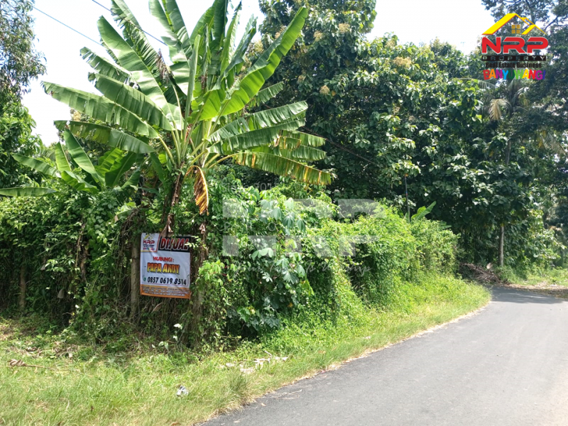 Dijual Tanah Hook di Dekat Kantor Satpas Polresta Banyuwangi  Dijual Tanah Hook di Dekat Kantor Satpas Polresta Banyuwangi  Dijual Tanah Hook di Dekat Kantor Satpas Polresta Banyuwangi&nbsp;
Tanah siap bangun sangat strategis dikawasan yang sedang berkembang. Cocok untuk investasi NRP BANYUWANGI