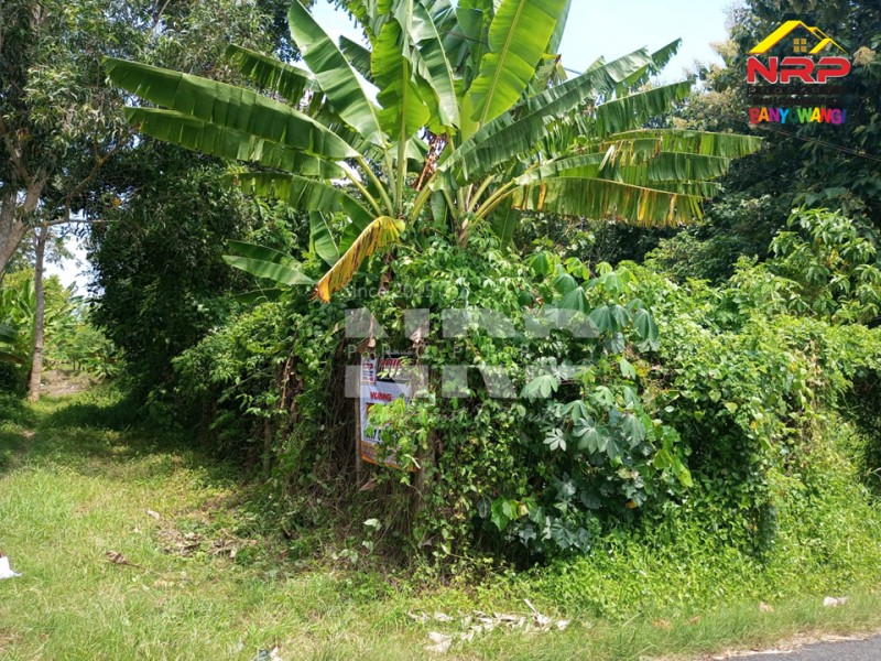 Dijual Tanah Hook di Dekat Kantor Satpas Polresta Banyuwangi  Dijual Tanah Hook di Dekat Kantor Satpas Polresta Banyuwangi  Dijual Tanah Hook di Dekat Kantor Satpas Polresta Banyuwangi&nbsp;
Tanah siap bangun sangat strategis dikawasan yang sedang berkembang. Cocok untuk investasi NRP BANYUWANGI