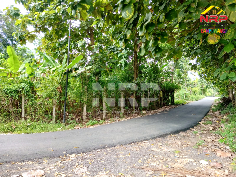 Dijual Tanah Hook di Dekat Kantor Satpas Polresta Banyuwangi  Dijual Tanah Hook di Dekat Kantor Satpas Polresta Banyuwangi  Dijual Tanah Hook di Dekat Kantor Satpas Polresta Banyuwangi&nbsp;
Tanah siap bangun sangat strategis dikawasan yang sedang berkembang. Cocok untuk investasi NRP BANYUWANGI