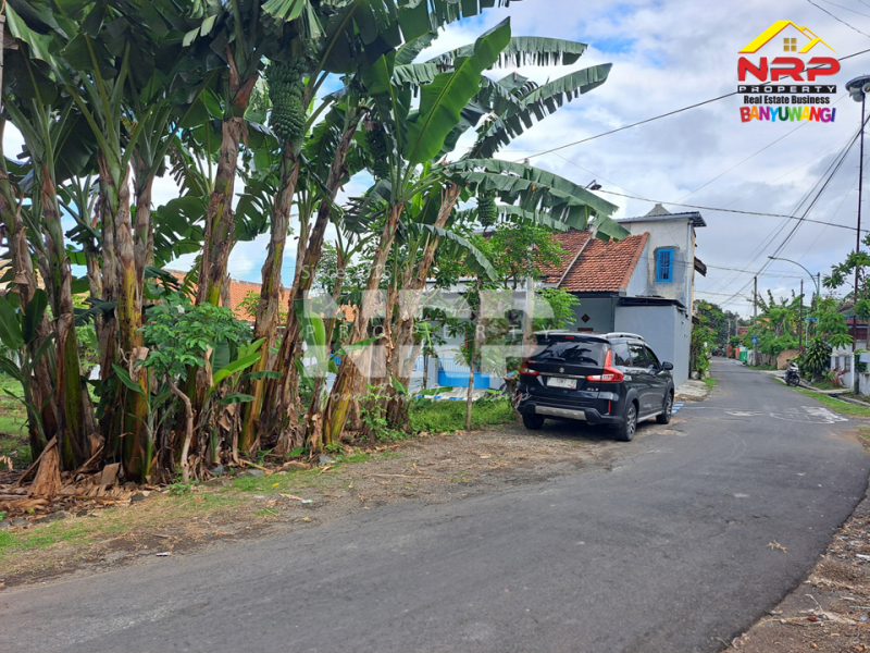 Dijual Tanah Hook di Tengah Kota Banyuwangi.  Dijual Tanah Hook di Tengah Kota Banyuwangi.  Dijual Tanah Hook di Tengah Kota Banyuwangi.&nbsp;
Belakang RSUD Blambangan, Dekat dengan stadion, Akses Jl. Aspal&nbsp;

Luas Tanah : 250 NRP BANYUWANGI