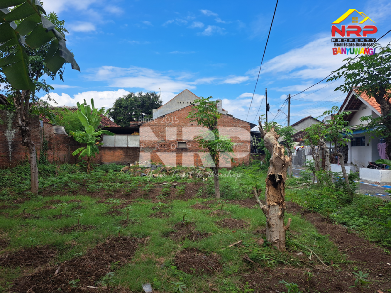Dijual Tanah Hook di Tengah Kota Banyuwangi.  Dijual Tanah Hook di Tengah Kota Banyuwangi.  Dijual Tanah Hook di Tengah Kota Banyuwangi.&nbsp;
Belakang RSUD Blambangan, Dekat dengan stadion, Akses Jl. Aspal&nbsp;

Luas Tanah : 250 NRP BANYUWANGI