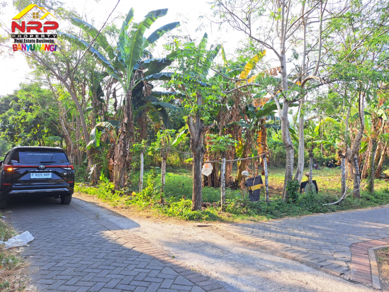 Dijual Tanah Hook dikawasan Perumahan Klatak  - Banyuwangi Dijual Tanah Hook dikawasan Perumahan Klatak  - Banyuwangi Dijual Tanah Hook dikawasan Perumahan Klatak&nbsp; - Banyuwangi
Lokasi Sangat Strategis Dekat&nbsp; dengan Kawasan Hotel dan Resto Banyuwangi&nbsp;
Akses NRP BANYUWANGI