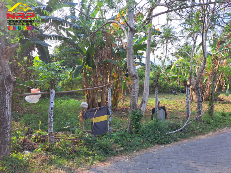 Dijual Tanah Hook dikawasan Perumahan Klatak  - Banyuwangi Dijual Tanah Hook dikawasan Perumahan Klatak  - Banyuwangi Dijual Tanah Hook dikawasan Perumahan Klatak&nbsp; - Banyuwangi
Lokasi Sangat Strategis Dekat&nbsp; dengan Kawasan Hotel dan Resto Banyuwangi&nbsp;
Akses NRP BANYUWANGI