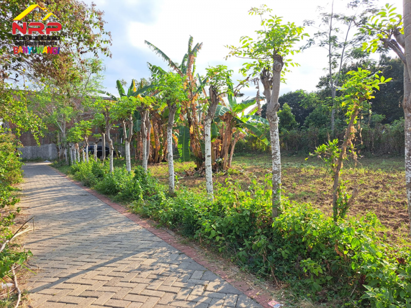 Dijual Tanah Hook dikawasan Perumahan Klatak  - Banyuwangi Dijual Tanah Hook dikawasan Perumahan Klatak  - Banyuwangi Dijual Tanah Hook dikawasan Perumahan Klatak&nbsp; - Banyuwangi
Lokasi Sangat Strategis Dekat&nbsp; dengan Kawasan Hotel dan Resto Banyuwangi&nbsp;
Akses NRP BANYUWANGI