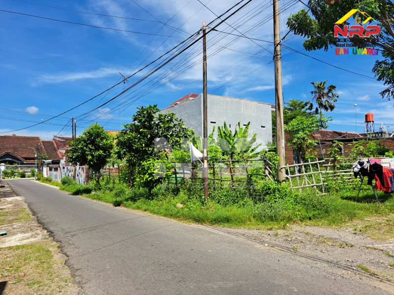 Dijual Tanah Hook Siap Bangun Di Belakang Hotel Santika Banyuwangi Jual tanah di Banyuwangi Kota belakang santika  Dijual Tanah Hook Siap Bangun Di Belakang Hotel Santika Banyuwangi
40 meter dari Jl. Ikan Layur Banyuwangi&nbsp;
Lokasi Strategis, Cocok Untuk di Bangun NRP BANYUWANGI