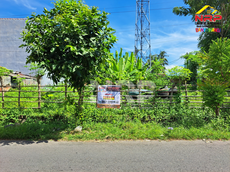 Dijual Tanah Hook Siap Bangun Di Belakang Hotel Santika Banyuwangi Jual tanah di Banyuwangi Kota belakang santika  Dijual Tanah Hook Siap Bangun Di Belakang Hotel Santika Banyuwangi
40 meter dari Jl. Ikan Layur Banyuwangi&nbsp;
Lokasi Strategis, Cocok Untuk di Bangun NRP BANYUWANGI