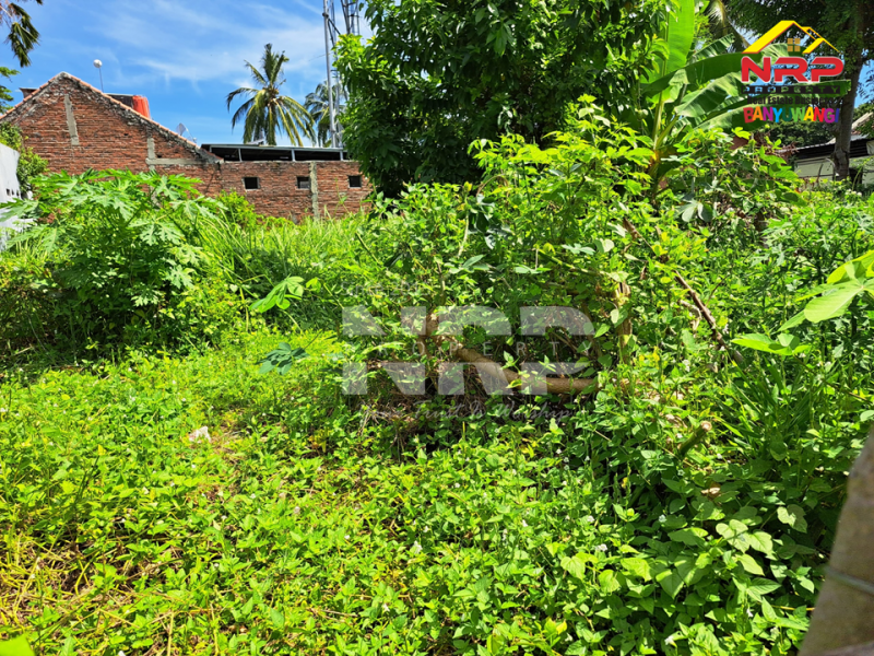 Dijual Tanah Hook Siap Bangun Di Belakang Hotel Santika Banyuwangi Jual tanah di Banyuwangi Kota belakang santika  Dijual Tanah Hook Siap Bangun Di Belakang Hotel Santika Banyuwangi
40 meter dari Jl. Ikan Layur Banyuwangi&nbsp;
Lokasi Strategis, Cocok Untuk di Bangun NRP BANYUWANGI