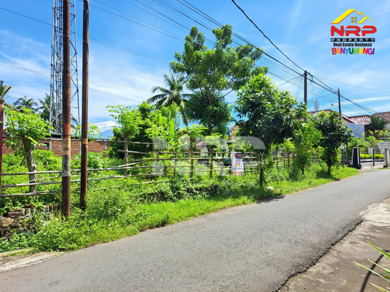 Dijual Tanah Hook Siap Bangun Di Belakang Hotel Santika Banyuwangi Jual tanah di Banyuwangi Kota belakang santika  Dijual Tanah Hook Siap Bangun Di Belakang Hotel Santika Banyuwangi
40 meter dari Jl. Ikan Layur Banyuwangi&nbsp;
Lokasi Strategis, Cocok Untuk di Bangun NRP BANYUWANGI