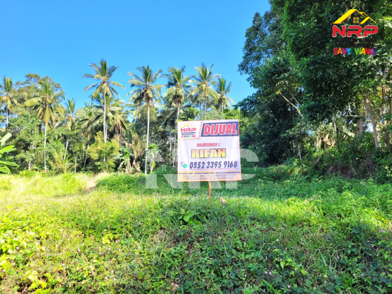 Dijual Tanah Hook Siap Bangun di Glagah - Banyuwangi  Dijual Tanah Hook Siap Bangun di Glagah - Banyuwangi  Dijual Tanah Hook Siap Bangun di Glagah - Banyuwangi&nbsp;
Lokasi hidden gem, masih asri, dekat persawahan dan view sawah terasiring.&nbsp;
Hanya 15 menit NRP BANYUWANGI