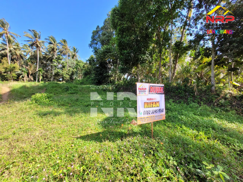 Dijual Tanah Hook Siap Bangun di Glagah - Banyuwangi  Dijual Tanah Hook Siap Bangun di Glagah - Banyuwangi  Dijual Tanah Hook Siap Bangun di Glagah - Banyuwangi&nbsp;
Lokasi hidden gem, masih asri, dekat persawahan dan view sawah terasiring.&nbsp;
Hanya 15 menit NRP BANYUWANGI