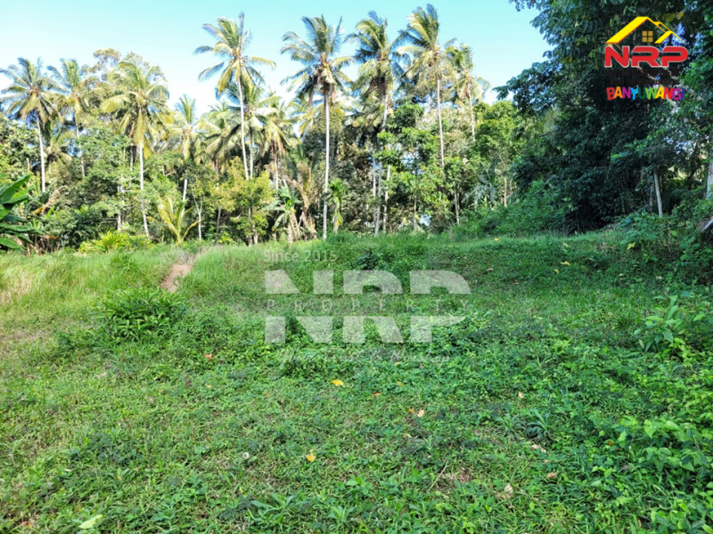 Dijual Tanah Hook Siap Bangun di Glagah - Banyuwangi  Dijual Tanah Hook Siap Bangun di Glagah - Banyuwangi  Dijual Tanah Hook Siap Bangun di Glagah - Banyuwangi&nbsp;
Lokasi hidden gem, masih asri, dekat persawahan dan view sawah terasiring.&nbsp;
Hanya 15 menit NRP BANYUWANGI