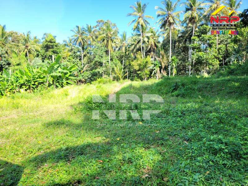 Dijual Tanah Hook Siap Bangun di Glagah - Banyuwangi  Dijual Tanah Hook Siap Bangun di Glagah - Banyuwangi  Dijual Tanah Hook Siap Bangun di Glagah - Banyuwangi&nbsp;
Lokasi hidden gem, masih asri, dekat persawahan dan view sawah terasiring.&nbsp;
Hanya 15 menit NRP BANYUWANGI