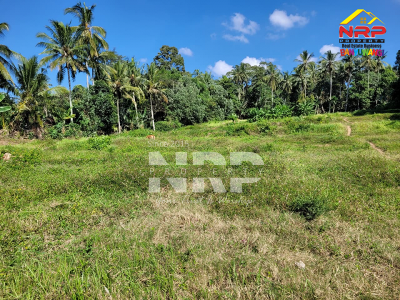 Dijual Tanah Hook Siap Bangun di Glagah - Banyuwangi  Dijual Tanah Hook Siap Bangun di Glagah - Banyuwangi  Dijual Tanah Hook Siap Bangun di Glagah - Banyuwangi&nbsp;
Akses jalan aspal. Lokasi asri, dekat persawahan dan view sawah terasiring.&nbsp;
Peluang NRP BANYUWANGI