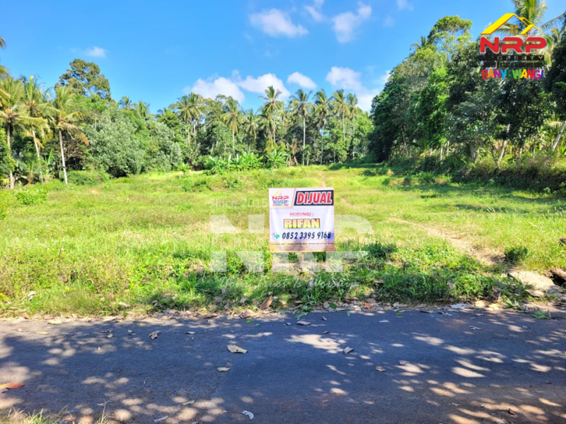 Dijual Tanah Hook Siap Bangun di Glagah - Banyuwangi  Dijual Tanah Hook Siap Bangun di Glagah - Banyuwangi  Dijual Tanah Hook Siap Bangun di Glagah - Banyuwangi&nbsp;
Akses jalan aspal. Lokasi asri, dekat persawahan dan view sawah terasiring.&nbsp;
Peluang NRP BANYUWANGI