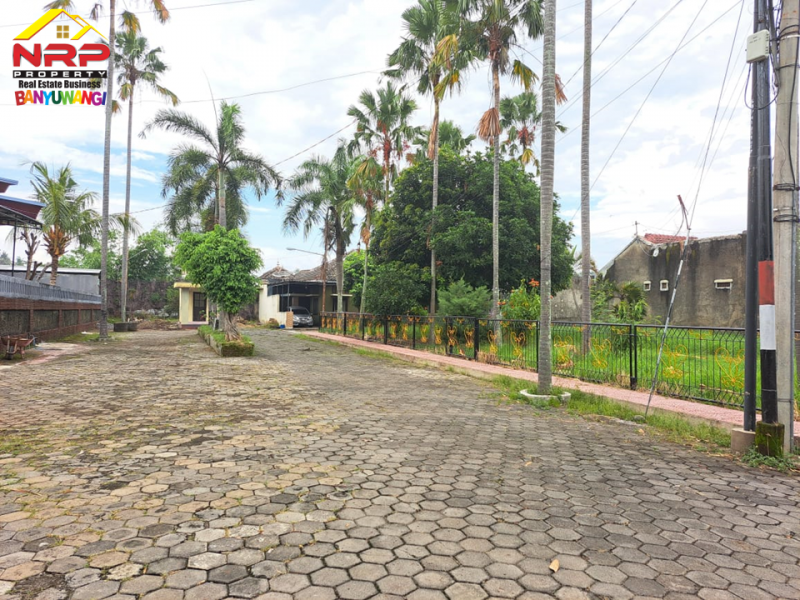 Dijual Tanah Hook Strategis di Sutri - Banyuwangi  Dijual Tanah Hook Strategis di Sutri - Banyuwangi  Dijual Tanah Hook Strategis di Sutri - Banyuwangi&nbsp;
Lingkungan nyaman, aman dan asri. One Get System Keamanan 24 Jam&nbsp;
Cocok untuk hunian, homestay NRP BANYUWANGI