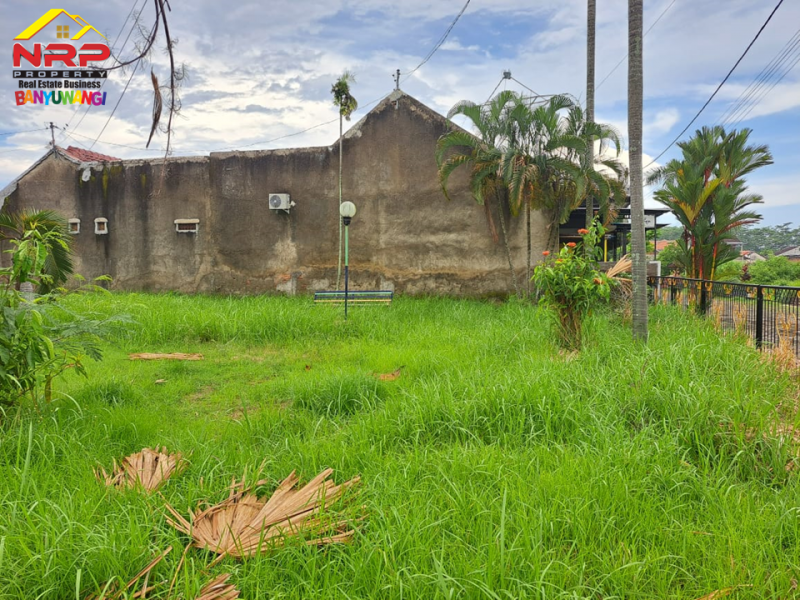 Dijual Tanah Hook Strategis di Sutri - Banyuwangi  Dijual Tanah Hook Strategis di Sutri - Banyuwangi  Dijual Tanah Hook Strategis di Sutri - Banyuwangi&nbsp;
Lingkungan nyaman, aman dan asri. One Get System Keamanan 24 Jam&nbsp;
Cocok untuk hunian, homestay NRP BANYUWANGI
