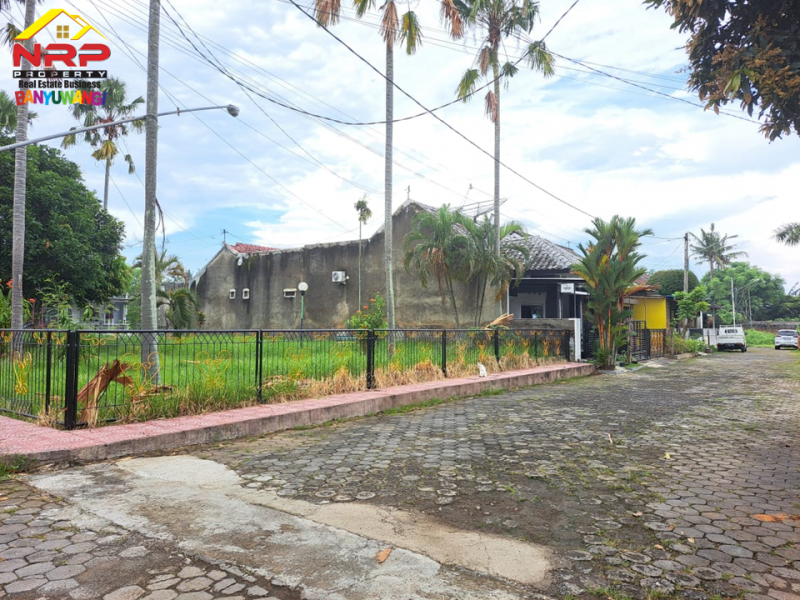 Dijual Tanah Hook Strategis di Sutri - Banyuwangi  Dijual Tanah Hook Strategis di Sutri - Banyuwangi  Dijual Tanah Hook Strategis di Sutri - Banyuwangi&nbsp;
Lingkungan nyaman, aman dan asri. One Get System Keamanan 24 Jam&nbsp;
Cocok untuk hunian, homestay NRP BANYUWANGI