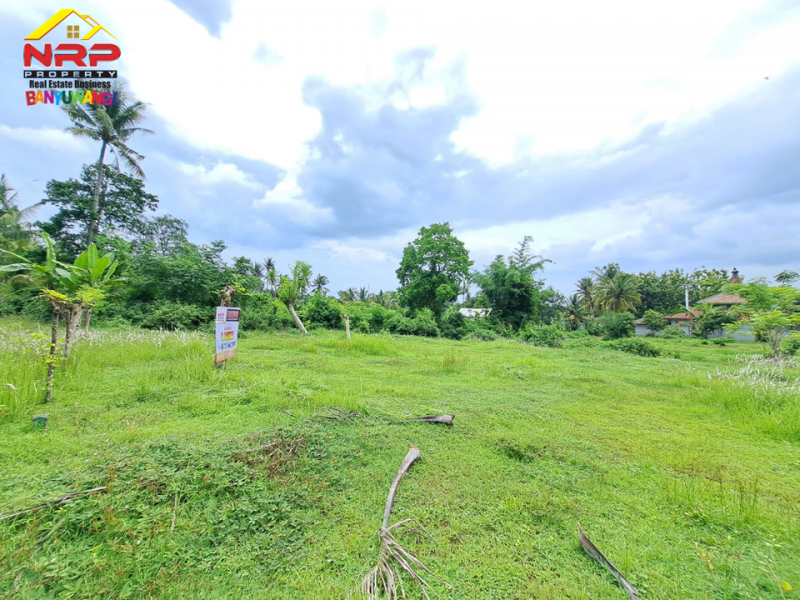 Dijual Tanah Kavling 100 Jutaan di Belakang Hotel Ilra, Klatak - Banyuwangi Dijual Tanah Kavling 100 Jutaan di Belakang Hotel Ilra, Klatak - Banyuwangi Dijual Tanah Kavling Prospek di Belakang Hotel Ilra - Banyuwangi
Akses Jln Paving Roda 4, 500 Meter dari Jln. Utama Provinsi.&nbsp;
Cocok Untuk Investasi NRP BANYUWANGI