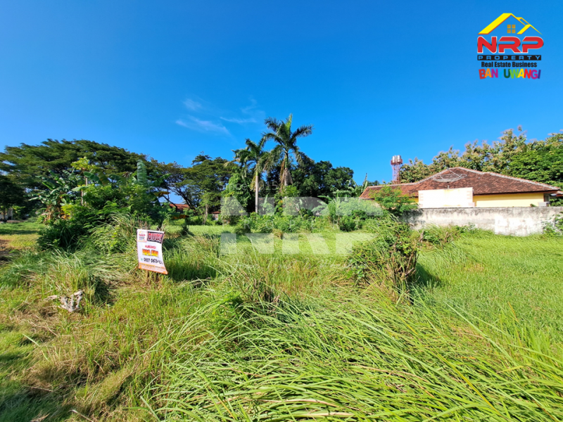 Dijual Tanah Kavling Belakang Pom Farly Ketapang - Banyuwangi  Jual tanah murah di ketapang banyuwangi  Dijual Tanah Kavling Belakang Pom Farly Ketapang - Banyuwangi&nbsp;
50 meter dari Jl. Lingkar Ketapang&nbsp;
Terletak di area Bisnis Aktif Pelabuhan NRP BANYUWANGI