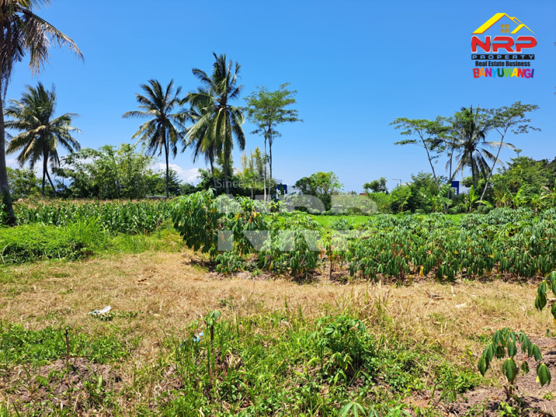 Dijual Tanah Kavling di Belakang Kantor Satpas Polresta Banyuwangi  Dijual Tanah Kavling di Belakang Kantor Satpas Polresta Banyuwangi  Dijual Tanah Kavling di Belakang Kantor Satpas Polresta Banyuwangi&nbsp;
Posisi pojok, Sangat cocok untuk investasi.

Luas Tanah: 185 NRP BANYUWANGI