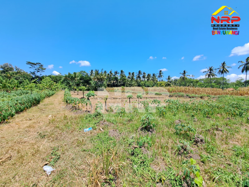 Dijual Tanah Kavling di Belakang Kantor Satpas Polresta Banyuwangi  Dijual Tanah Kavling di Belakang Kantor Satpas Polresta Banyuwangi  Dijual Tanah Kavling di Belakang Kantor Satpas Polresta Banyuwangi&nbsp;
Posisi pojok, Sangat cocok untuk investasi.

Luas Tanah: 185 NRP BANYUWANGI