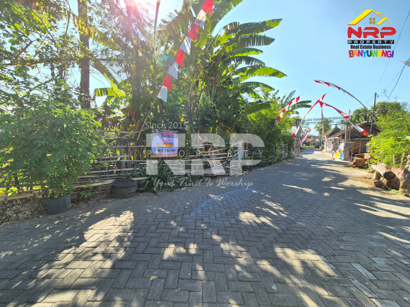 Dijual Tanah Kavling di Depan Stasiun Kreta Api Ketapang - Banyuwangi Dijual Tanah Kavling di Depan Stasiun Kreta Api Ketapang - Banyuwangi Dijual Tanah Kavling di Depan Stasiun Kreta Api Ketapang - Banyuwangi
Sangat Cocok Untuk Resto, Home Stay, Gues house, Rumah Kos dan Lainnya ( Jika di Bangun NRP BANYUWANGI