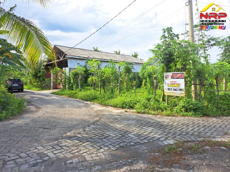 Dijual Tanah Kavling Hook Siap Bangun di Jl. Lingkar Ketapang - Banyuwangi Dijual Tanah Kavling Hook Siap Bangun di Jl. Lingkar Ketapang - Banyuwangi Dijual Tanah Kavling Hook Siap Bangun di Jl. Lingkar Ketapang - Banyuwangi
Loksi sangat strategis&nbsp; cocok untuk Hunian maupun Rumah Kos.

Luas Tanah : NRP BANYUWANGI