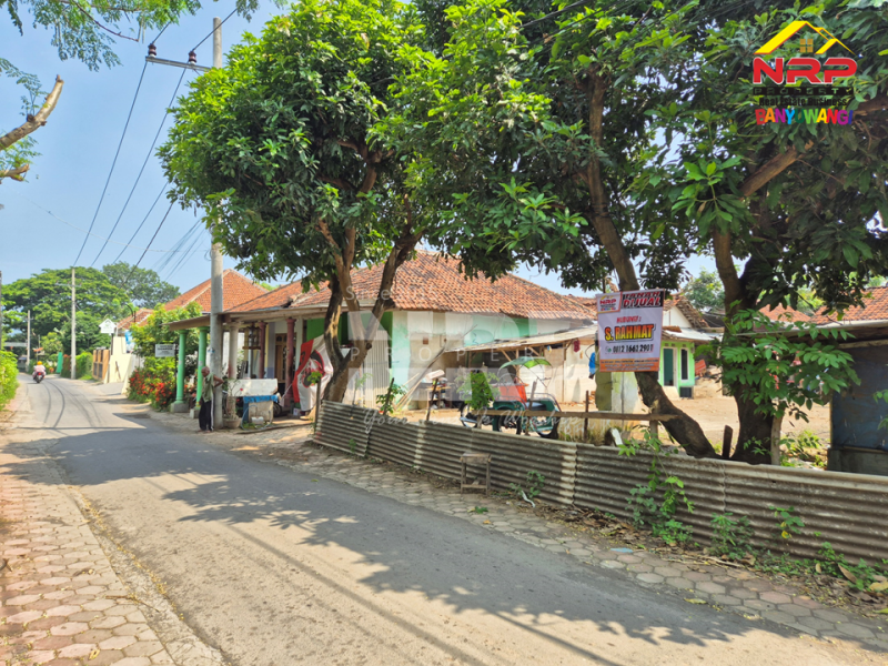 Dijual Tanah Kavling Murah 100 Meter dari Jl. Provinsi Gatot Subroto, Bulusan  Dijual Tanah Kavling Murah 100 Meter dari Jl. Provinsi Gatot Subroto, Bulusan  Dijual Tanah Kavling Murah 100 Meter dari Jl. Provinsi Gatot Subroto, Bulusan&nbsp;
Depan Terminal LPG Bulusan, Depan Pabrik SSP Banyuwangi&nbsp;
Cocok untuk NRP BANYUWANGI