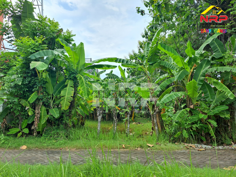 Dijual Tanah Kavling Murah 20 Meter dari Jl. Lingkar Belakang SPBU Farley Ketapang Dijual Tanah Kavling Murah 20 Meter dari Jl. Lingkar Belakang SPBU Farley Ketapang Dijual Tanah Kavling Murah 20 Meter dari Jl. Lingkar Belakang SPBU Farley Ketapang
200 Meter dari JL. Utama Ketapang
Terletak di area Bisnis Aktif Pelabuhan NRP BANYUWANGI