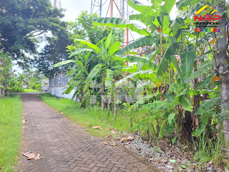 Dijual Tanah Kavling Murah 20 Meter dari Jl. Lingkar Belakang SPBU Farley Ketapang Dijual Tanah Kavling Murah 20 Meter dari Jl. Lingkar Belakang SPBU Farley Ketapang Dijual Tanah Kavling Murah 20 Meter dari Jl. Lingkar Belakang SPBU Farley Ketapang
200 Meter dari JL. Utama Ketapang
Terletak di area Bisnis Aktif Pelabuhan NRP BANYUWANGI