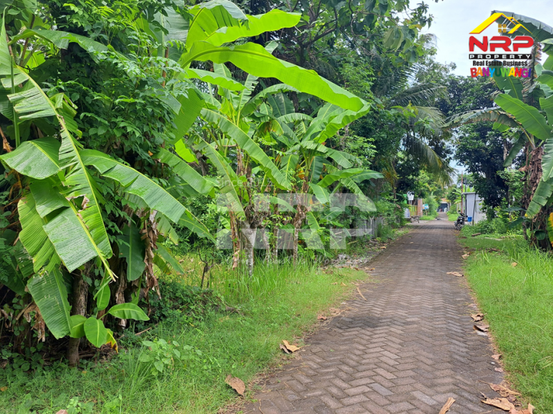 Dijual Tanah Kavling Murah 20 Meter dari Jl. Lingkar Belakang SPBU Farley Ketapang Dijual Tanah Kavling Murah 20 Meter dari Jl. Lingkar Belakang SPBU Farley Ketapang Dijual Tanah Kavling Murah 20 Meter dari Jl. Lingkar Belakang SPBU Farley Ketapang
200 Meter dari JL. Utama Ketapang
Terletak di area Bisnis Aktif Pelabuhan NRP BANYUWANGI