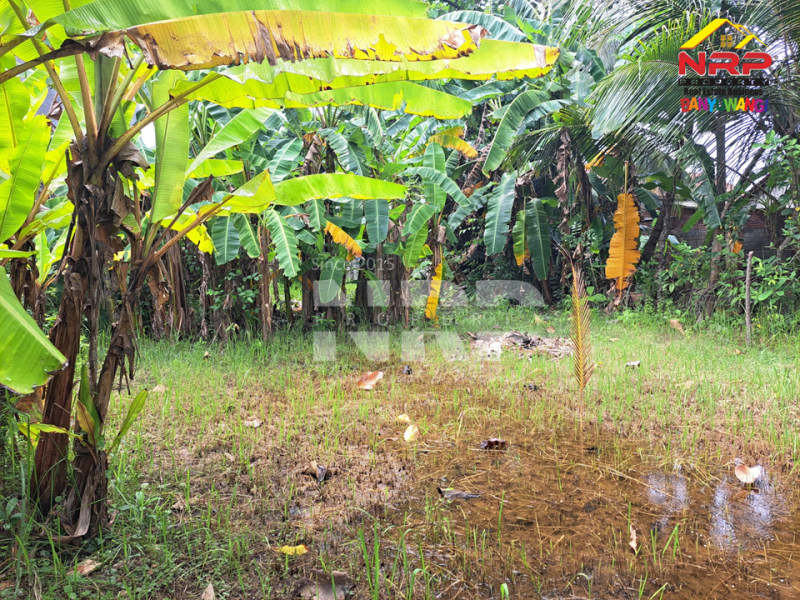 Dijual Tanah Kavling Murah 20 Meter dari Jl. Lingkar Belakang SPBU Farley Ketapang Dijual Tanah Kavling Murah 20 Meter dari Jl. Lingkar Belakang SPBU Farley Ketapang Dijual Tanah Kavling Murah 20 Meter dari Jl. Lingkar Belakang SPBU Farley Ketapang
200 Meter dari JL. Utama Ketapang
Terletak di area Bisnis Aktif Pelabuhan NRP BANYUWANGI