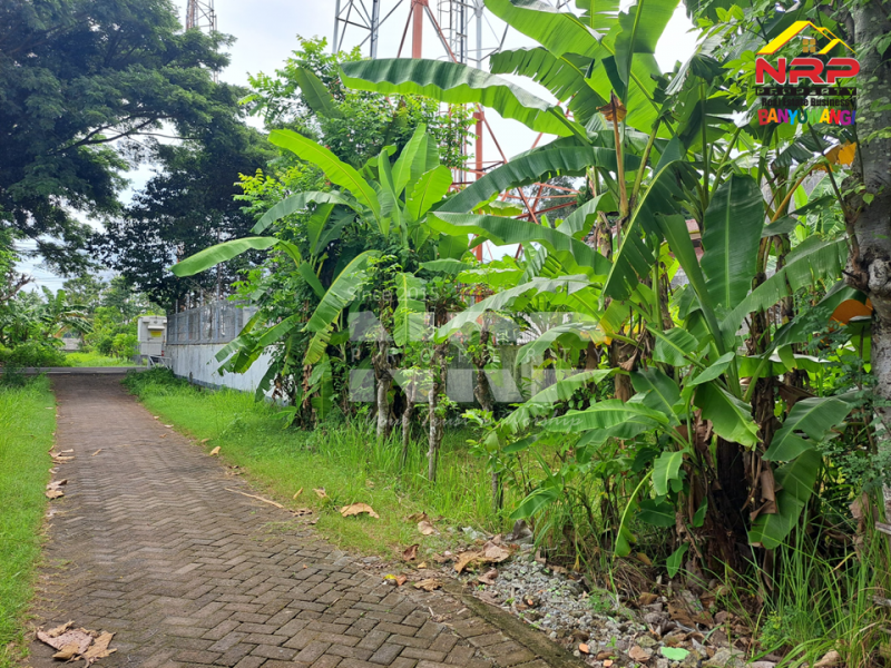 Dijual Tanah Kavling Murah 20 Meter dari Jl. Lingkar Belakang SPBU Farley Ketapang Dijual Tanah Kavling Murah 20 Meter dari Jl. Lingkar Belakang SPBU Farley Ketapang Dijual Tanah Kavling Murah 20 Meter dari Jl. Lingkar Belakang SPBU Farley Ketapang
200 Meter dari JL. Utama Ketapang
Terletak di area Bisnis Aktif Pelabuhan NRP BANYUWANGI