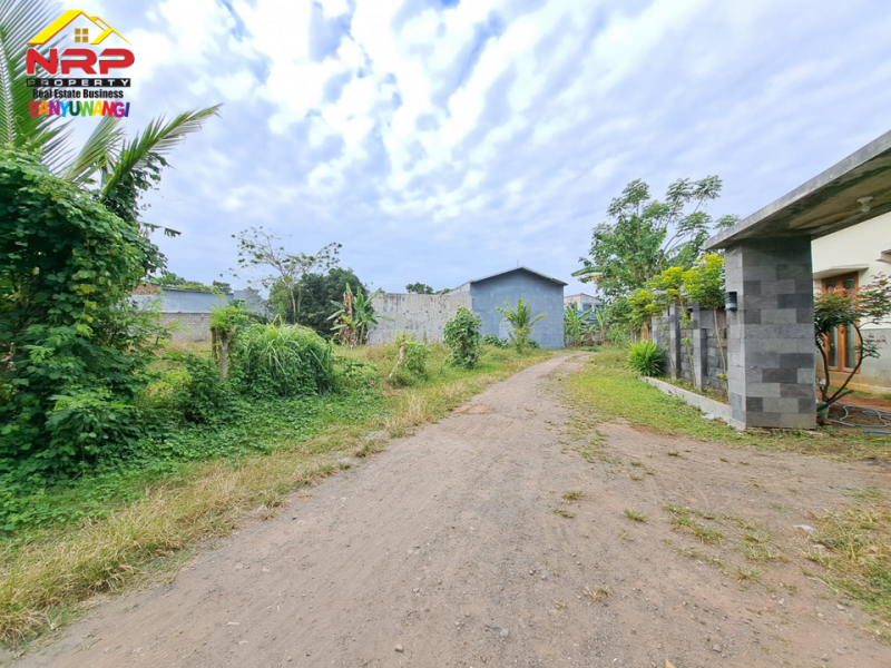 Dijual Tanah Kavling Murah 30 Meter dari JL. Raya Gendoh Dijual Tanah Kavling Murah 30 Meter dari JL. Raya Gendoh Dijual Tanah Kavling Murah 30 Meter dari JL. Raya Gendoh
Lokasi Strategis Dekat Pusat Perbelanjaan dan Kesehatan Desa Gendoh&nbsp;

Luas Tanah 447 NRP BANYUWANGI