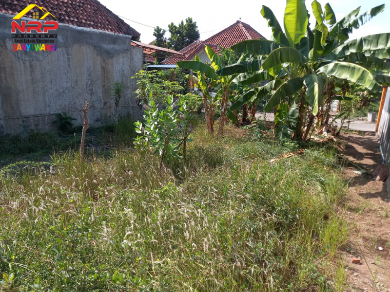 Dijual Tanah Kavling Murah di Depan SMAN 1 Glagah - Banyuwangi  Dijual Tanah Kavling Murah di Depan SMAN 1 Glagah - Banyuwangi  Dijual Tanah Kavling Murah di Depan SMAN 1 Glagah - Banyuwangi&nbsp;
Lokasi Sangat strategis berada dikawasan pendidikan ternama banyuwangi&nbsp;

Luas NRP BANYUWANGI