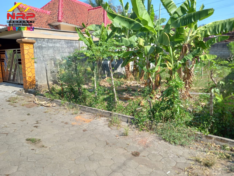Dijual Tanah Kavling Murah di Depan SMAN 1 Glagah - Banyuwangi  Dijual Tanah Kavling Murah di Depan SMAN 1 Glagah - Banyuwangi  Dijual Tanah Kavling Murah di Depan SMAN 1 Glagah - Banyuwangi&nbsp;
Lokasi Sangat strategis berada dikawasan pendidikan ternama banyuwangi&nbsp;

Luas NRP BANYUWANGI
